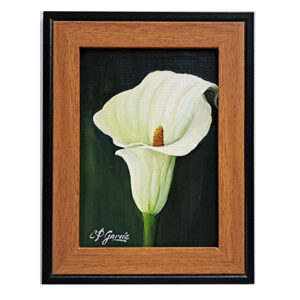 Pintura acrílica de cala blanca.