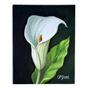 Pintura acrílica de cala blanca.